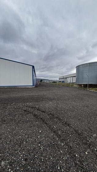 Hala de închiriat - 7