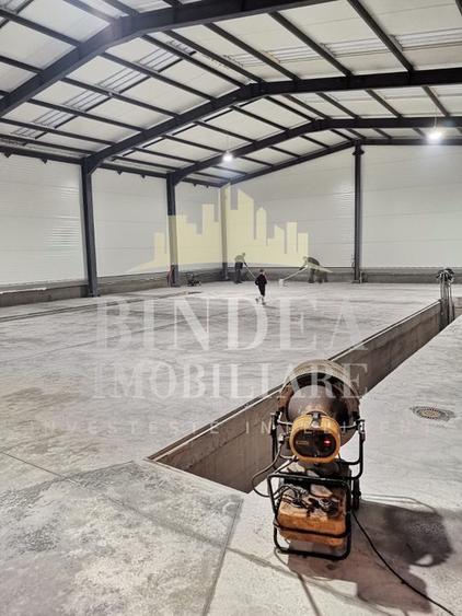 Hală 600mp + 4400mp teren- Giarmata, zonă industrială Construcție 2023 - 1