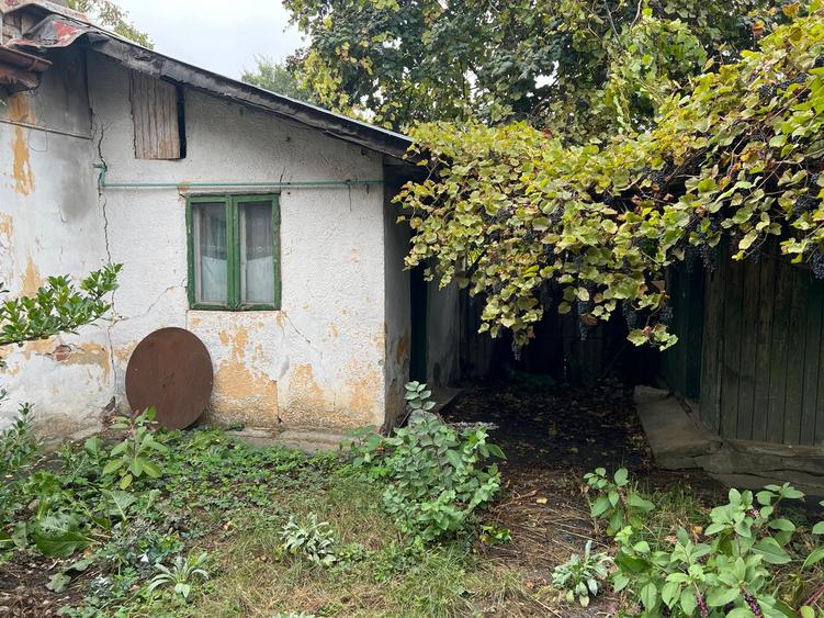 Bucurestii- Noi - zona Bazilescu, str. Pietei - 1