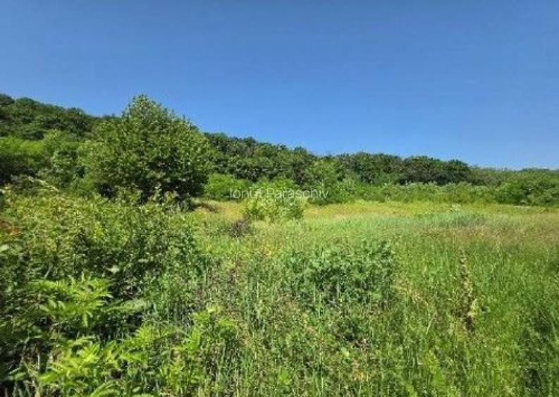 Teren Duda Epureni, ID: R2609594 Teren Duda Epureni, ID: R2609594