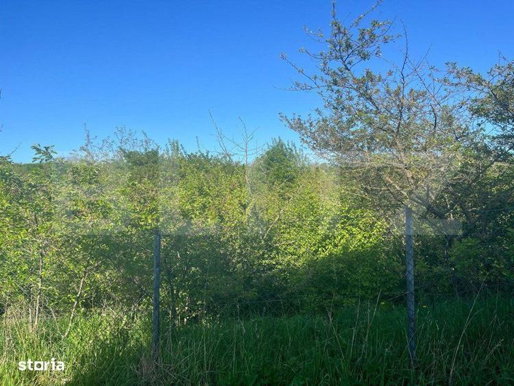Teren intravilan ,cu vegetatie, 2700 mp, zona Siret - 5