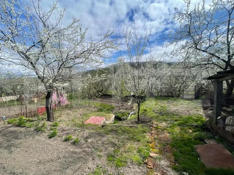 Locuinta in Ticu-Colonie (Casa de vacanta la un pret corect!) - 3