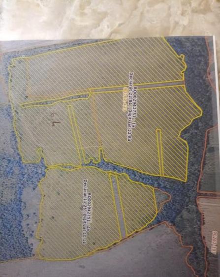 Oportunitate de investitie- teren Martinesti, Hunedoara - 1