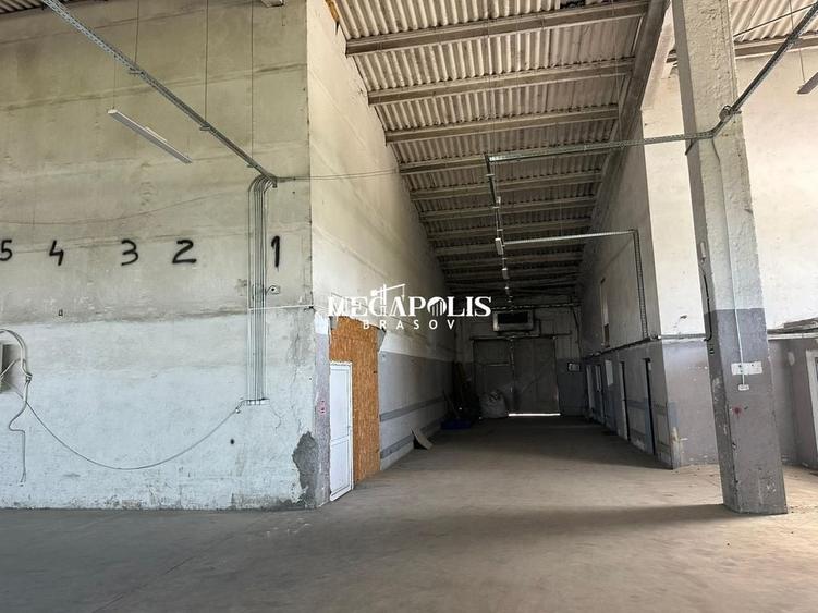 Hala Brintex str.Bazaltului / 5 euro mp - 12