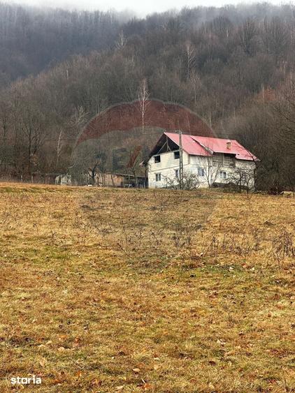 Teren de 7135 mp, în Negreni