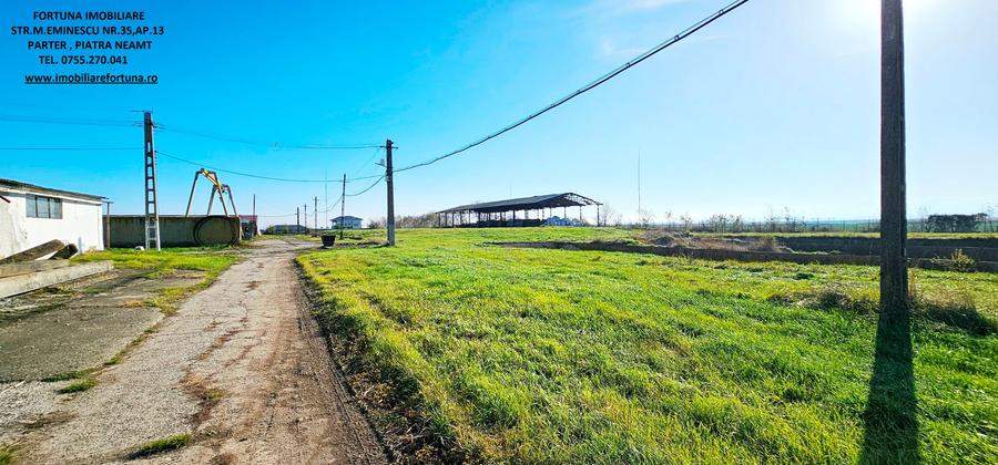 Complex imobiliar format din cladiri si constructii industriale+teren intravilan - 7