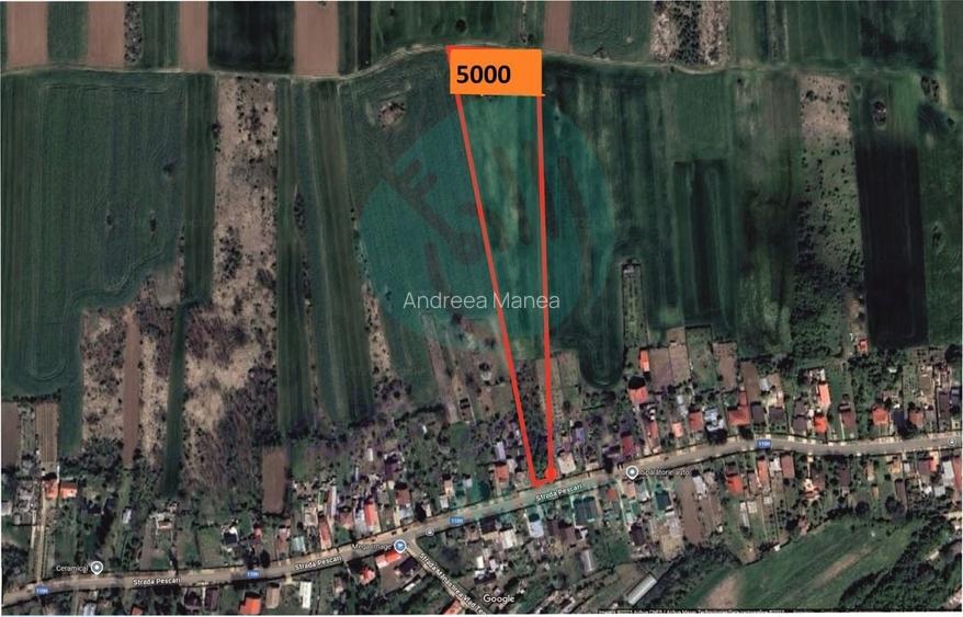 Teren 5000 mp pentru dezvoltare rezidențială, Siliștea Snagovului