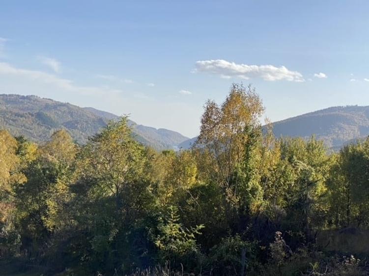 Teren retras panoramic Valea Doftanei 1350 mp panta lina, cu utilitati - 6