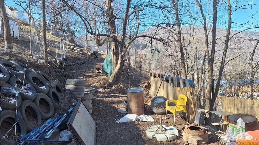 Teren Unic în Tarcau - Oportunitate pentru afacere cu potential turistic! - 7