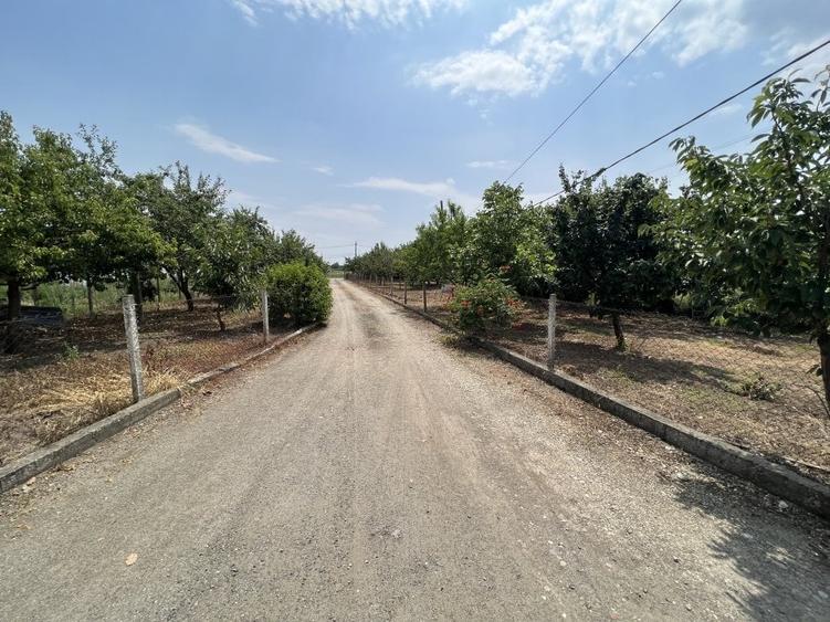 2 case, hala depozitare, teren 3785 mp - 2 F.S. - 22 m, pe malul Begai - 7