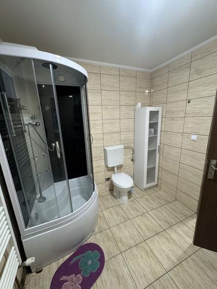 Apartament la curte de inchiriat In Negresti-Oas - 7