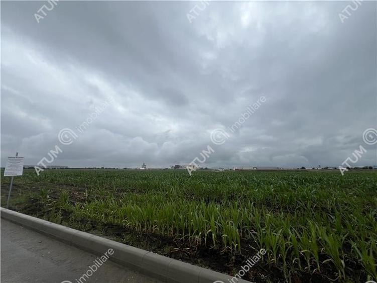 Teren agricol intravilan de 9000 mp, în Industrial Vest