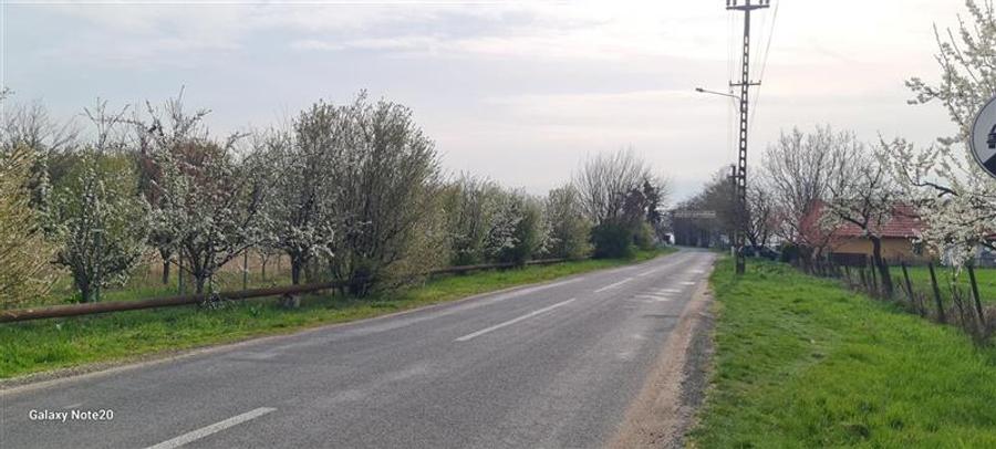 Teren agricol intravilan de 2500 mp, în Dorobanți