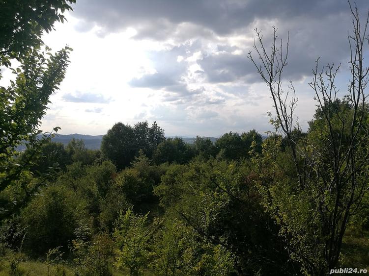 Teren în Central