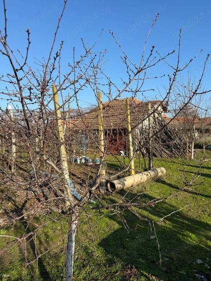 Casă cu 3 camere cu Teren 1792 Mp în Cioroboreni