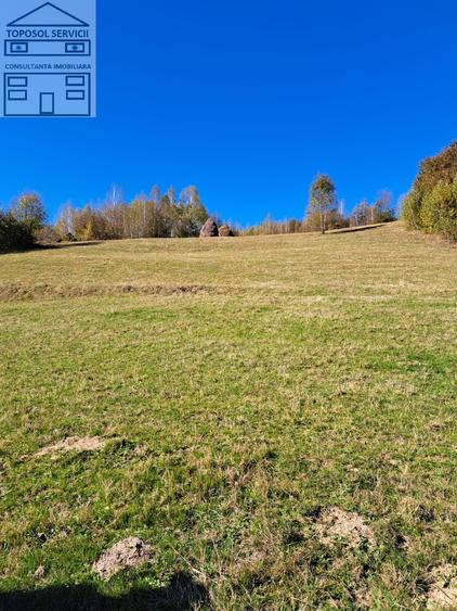 Teren Construcții extravilan de 51000 mp, în Bulz