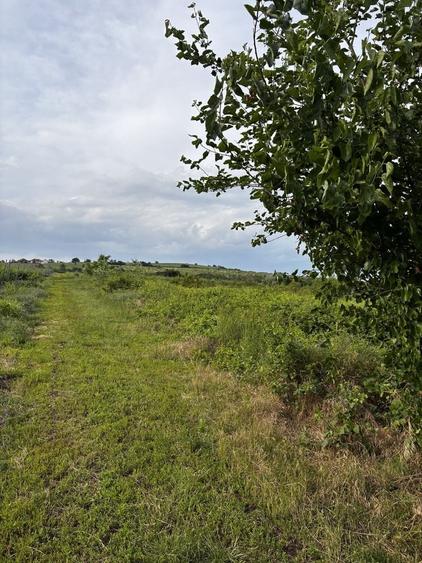 Teren de 19500 mp, în Valea Călugărească