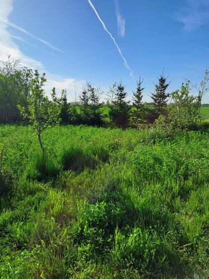 Casă cu 5 camere cu Teren 5600 Mp în Potlogi