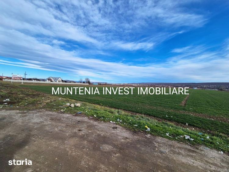 Teren intravilan 23504 mp. com.Maracineni,sat Argeselu. - 1