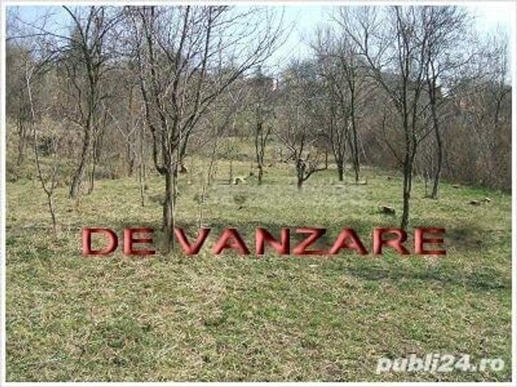 Teren de 3200 mp, în Câmpina