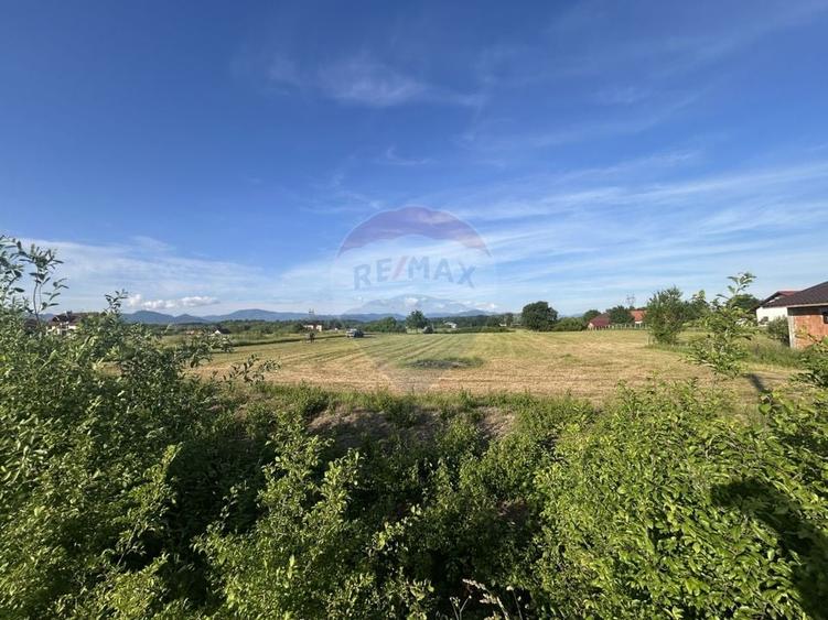 Teren Construcții intravilan de 6200 mp, în Coltău