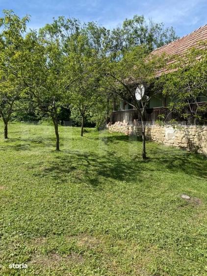 Casă cu 3 camere cu Teren 2750 Mp în Mihai Viteazu