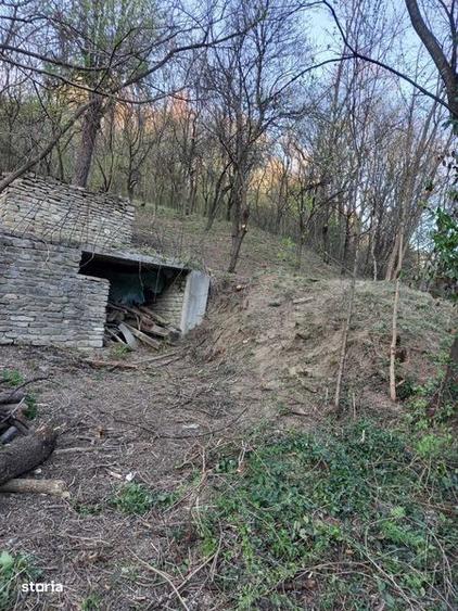 Teren de 1668 mp, în Central