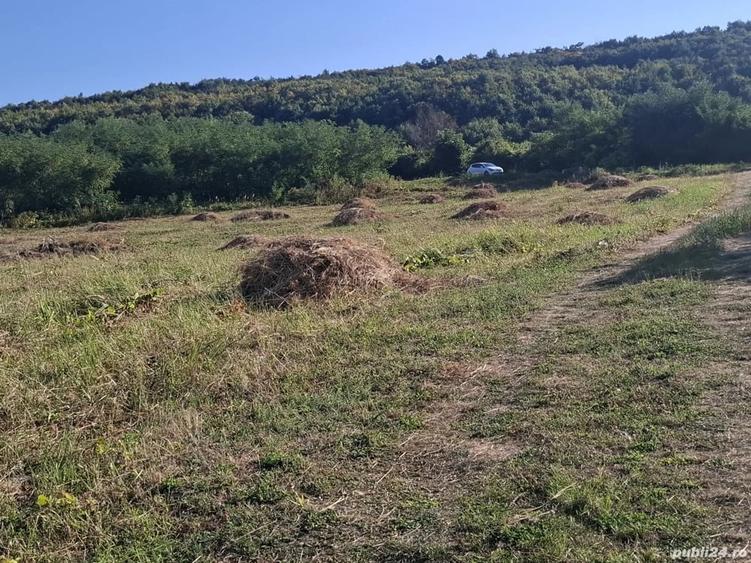 Teren de 5000 mp, în Central