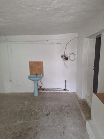 Spațiu comercial, de 110 mp, în Lotrioara