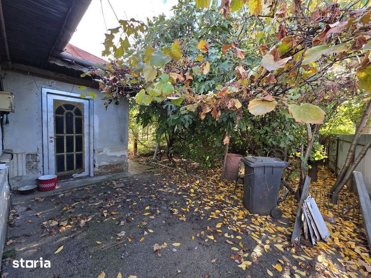 Teren de 425 mp, în Ion Creangă