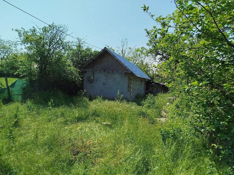 Casa buna si teren Malu Rosu Arma?e?ti jud. Ialomi?a - 3