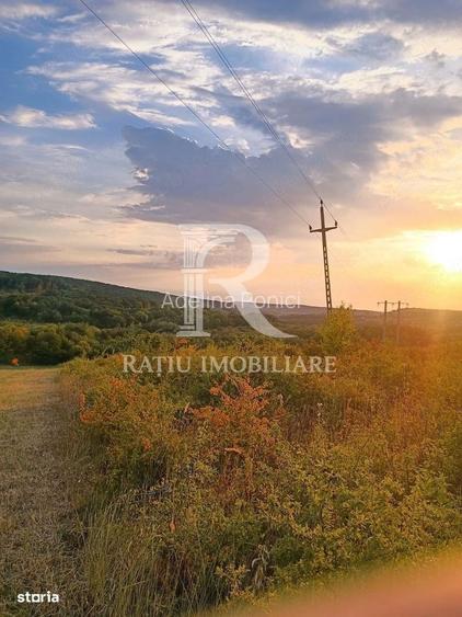 Teren de vanzare | Hidiselul de Sus | Bihor