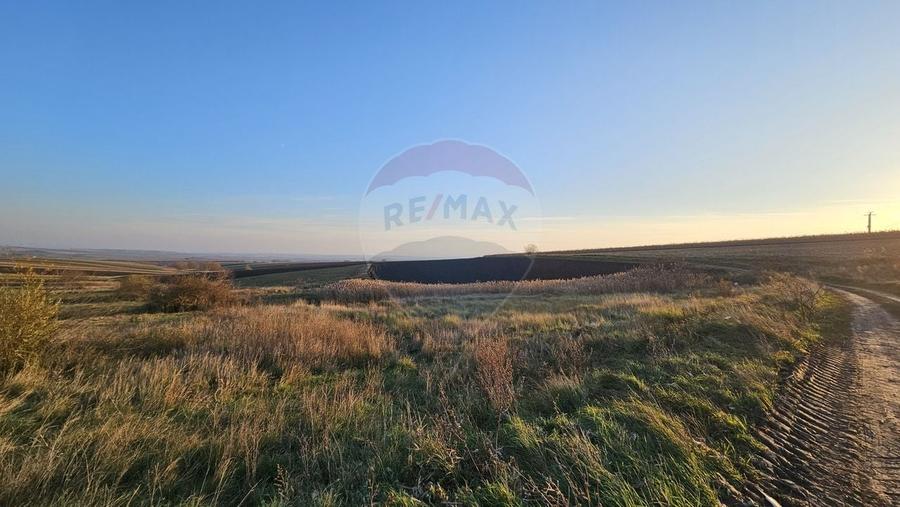 Teren agricol extravilan de 30077 mp, în Stroiești