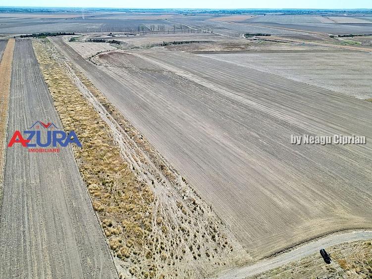 Teren agricol extravilan de 47200 mp, în Căteasca