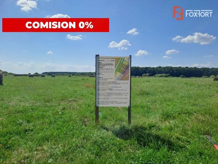 Teren de 700 mp, în Pișchia