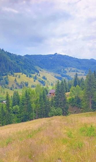 Teren de 32589 mp, în Pojorâta