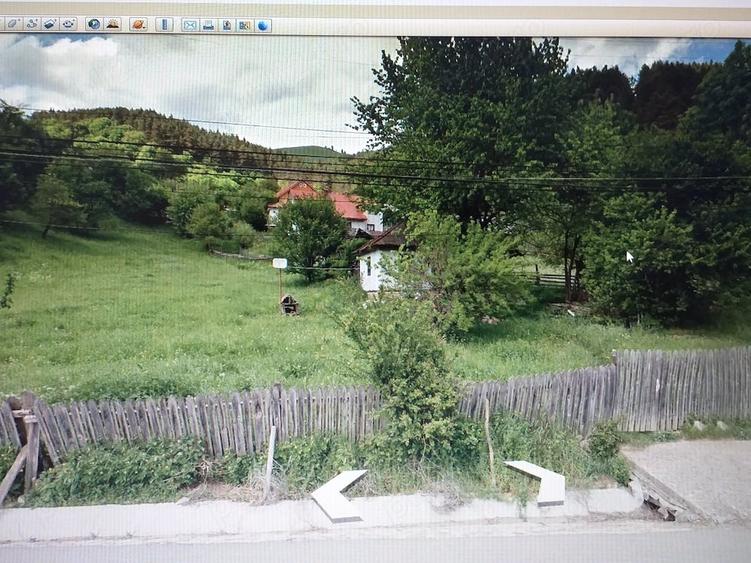 Teren de 2900 mp, în Buhalnița