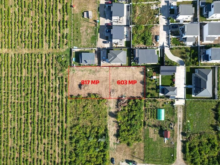 Teren de 704 mp, în Bârnova