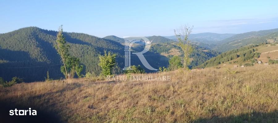 Teren de 3000 mp, în Pleșcuța