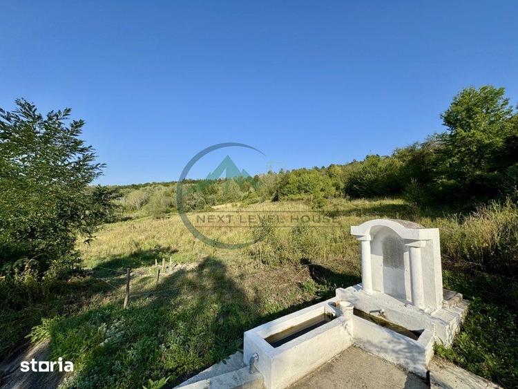Teren de 33290 mp, în Broșteni