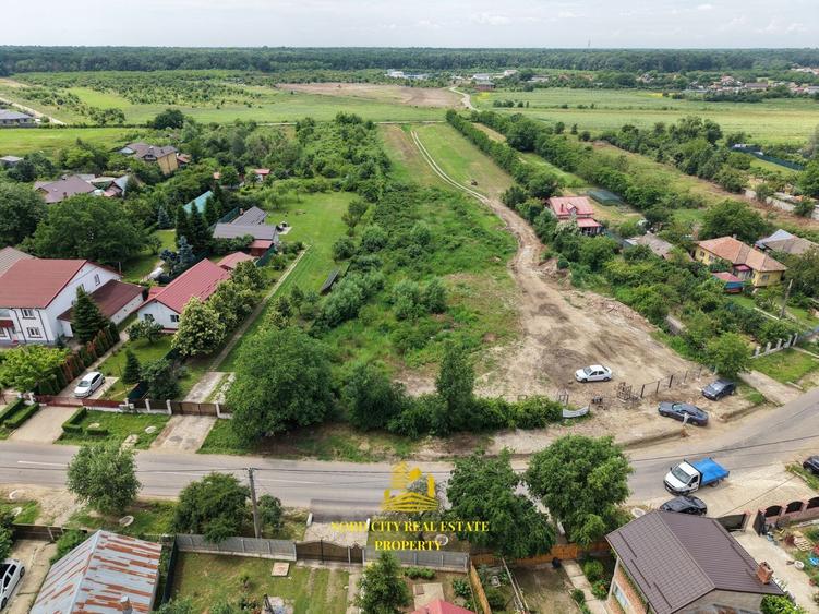 Teren Construcții intravilan de 3114 mp, în Ciolpani