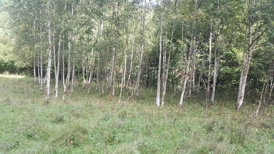 Teren Construcții intravilan de 2834 mp, în Râu de Mori