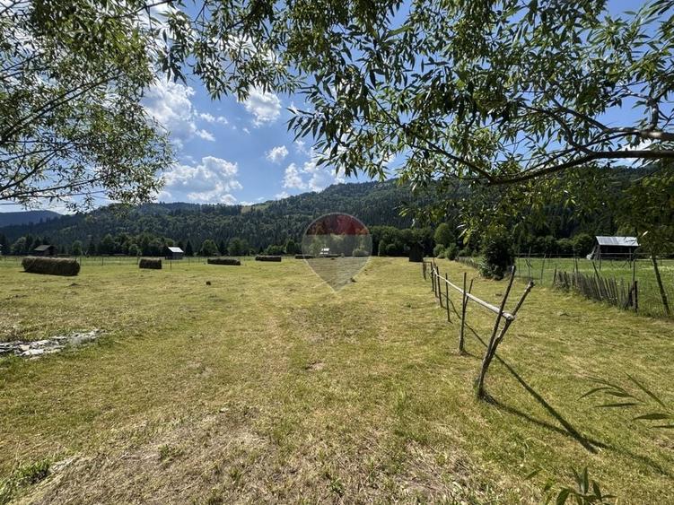 Teren Construcții intravilan de 2802 mp, în Borca