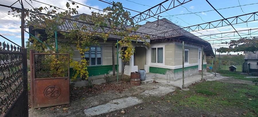 Casă cu Teren 5500 Mp în Central