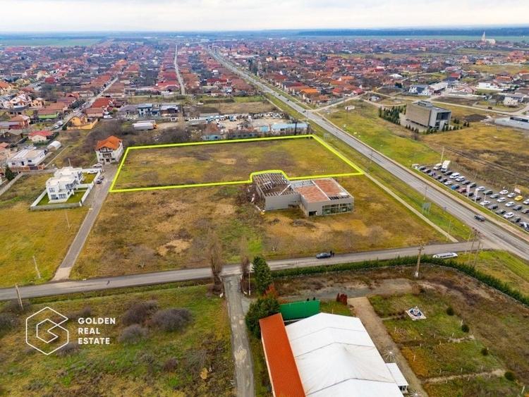 Teren Construcții intravilan de 10000 mp, în Vladimirescu
