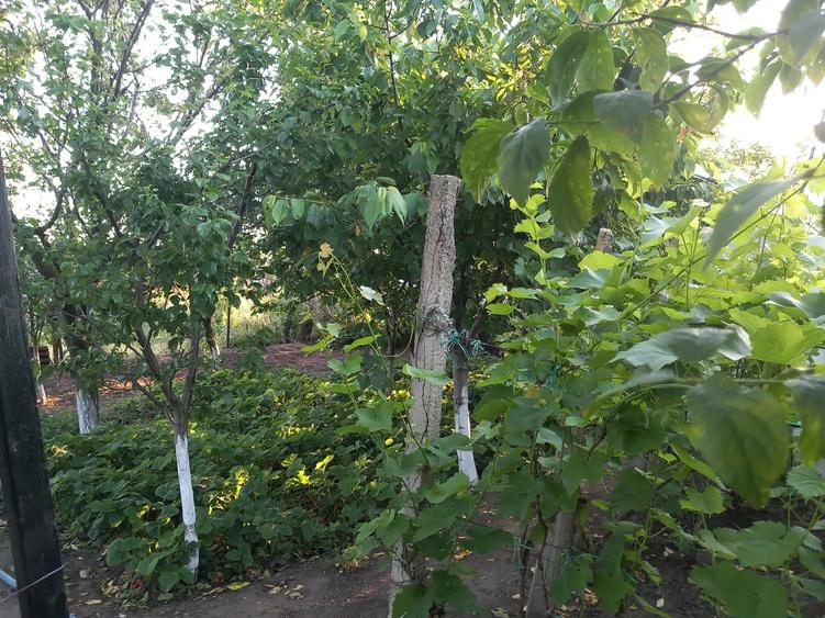 Casă cu 5 camere cu Canalizare în Nanov