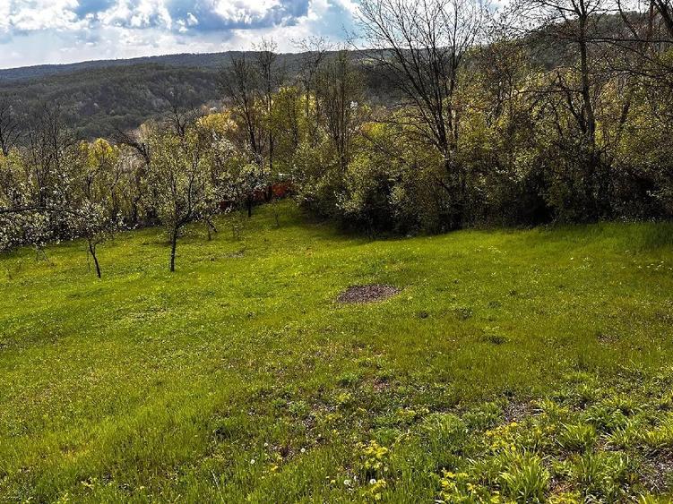 Teren de 2350 mp, în Surani