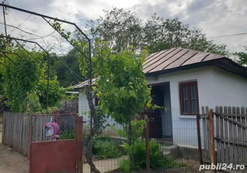 Casă cu 3 camere cu Teren 5000 Mp în Mozăceni