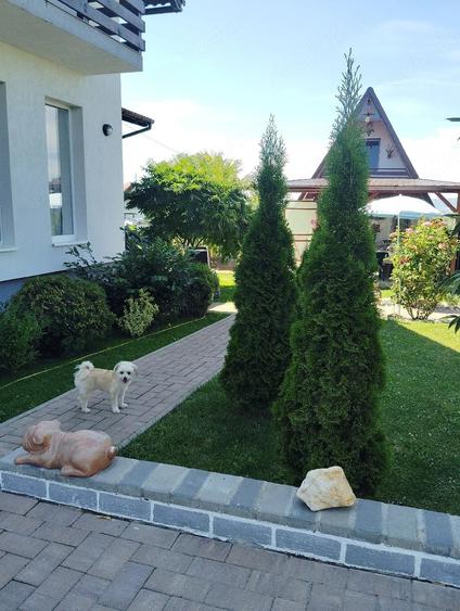 Casă cu Teren 650 Mp în Bod