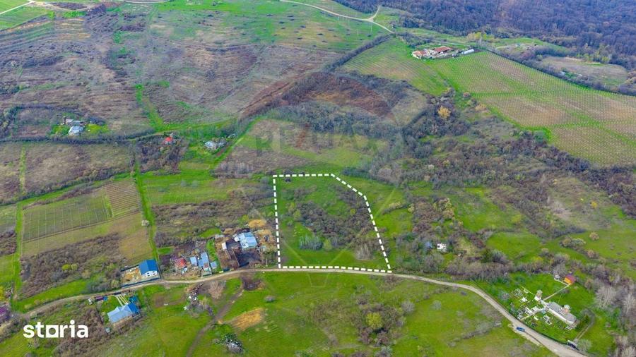 Teren de 33500 mp, în Bucov